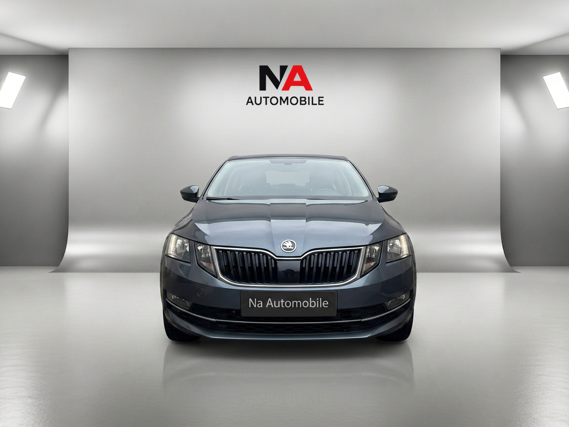 Skoda  Octavia  2.0 TDI